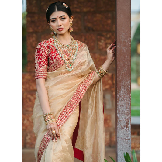 Heavy Soft Organza Saree with Sequin & Dori Embroidery