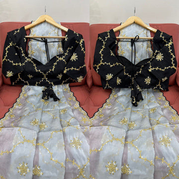 Beautiful Designer Saree on Zimmy Chu Febric